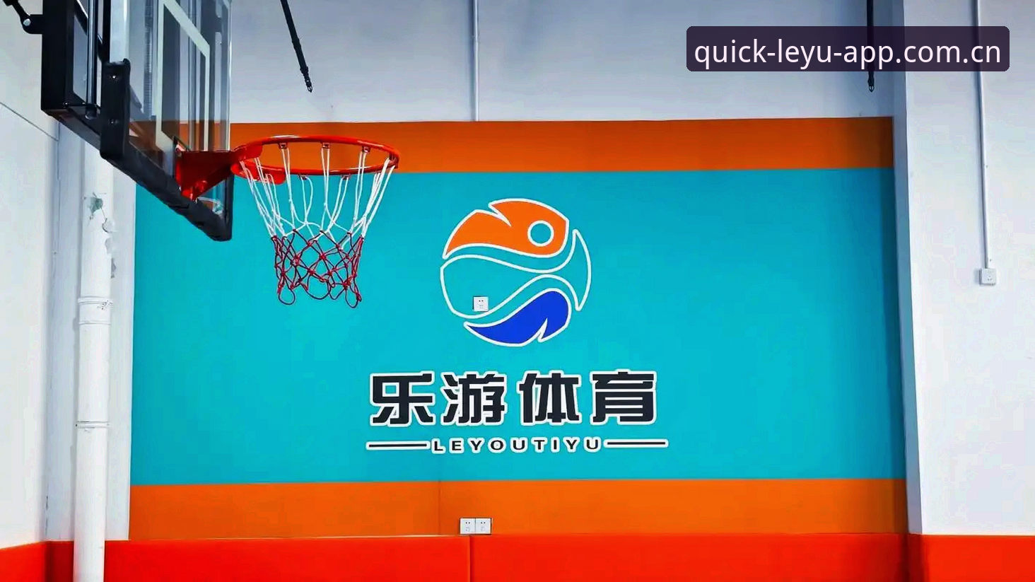 乐游体育平台2026版登录前，先看看这3个容易踩的坑